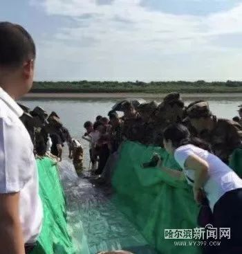 黑龙江上游首次放流鲟鱼丨12万尾“施氏鲟”下水了